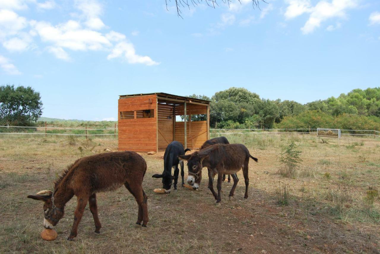 Cal Tort Villa Maià de Montcal Kültér fotó